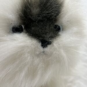TY Cat Angel Himalayan Persian long haired White Gray With Tag 20th Anniversary